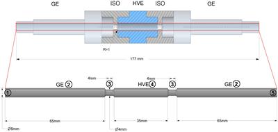 Kinetic Modeling and Numerical Simulation as Tools to Scale Microalgae Cell Membrane Permeabilization by Means of Pulsed Electric Fields (PEF) From Lab to Pilot Plants